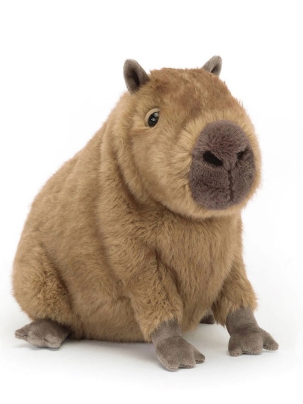 Jellycat Clyde Capybara